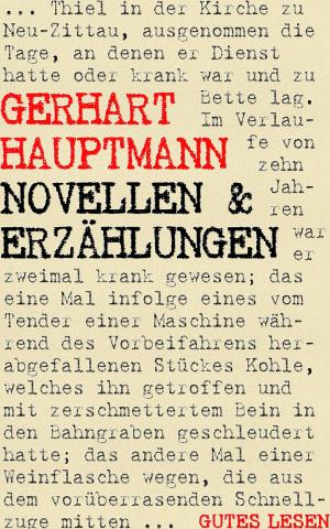 Cover of the book Novellen und Erzählungen by Norbert Heyse