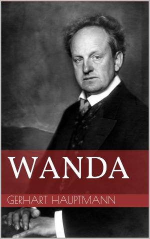 Cover of the book Wanda by Mickaël Paitel