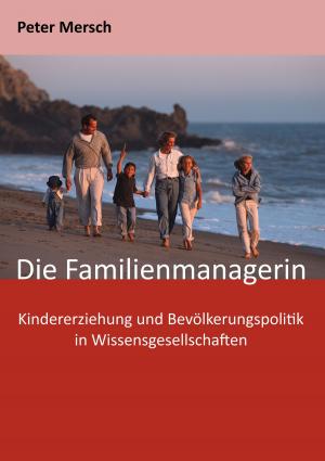 Cover of the book Die Familienmanagerin by Theodor Fontane