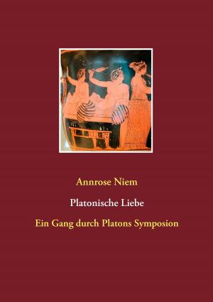 Book cover of Platonische Liebe