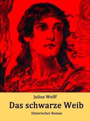 Cover of the book Das schwarze Weib by Reinhard Rosenke