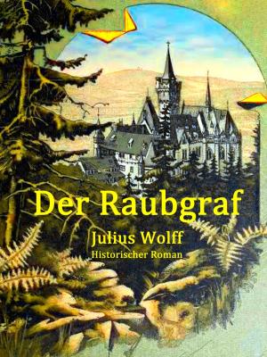 Cover of the book Der Raubgraf by Harry Eilenstein