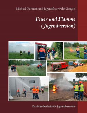 Cover of the book Feuer und Flamme (Jugendversion) by Christa Krucker