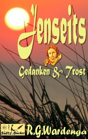 Book cover of Jenseits - Gedanken & Trost