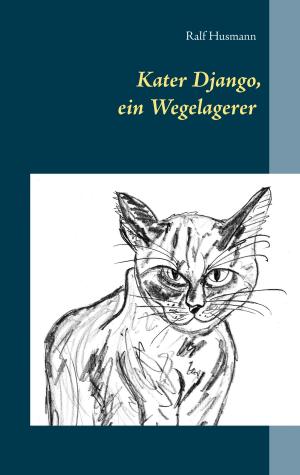 Cover of the book Kater Django, ein Wegelagerer by HaJo Fritschi
