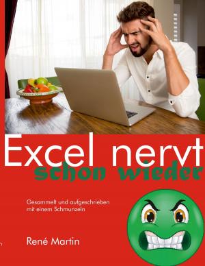 Cover of the book Excel nervt schon wieder by Rudolf A. Haunschmied, Jan-Ruth Mills, Siegi Witzany-Durda