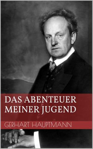 Cover of the book Das Abenteuer meiner Jugend by Kai Bachmann