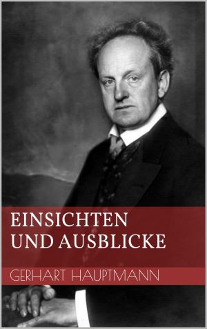 Cover of the book Einsichten und Ausblicke by Klaus Mommsen
