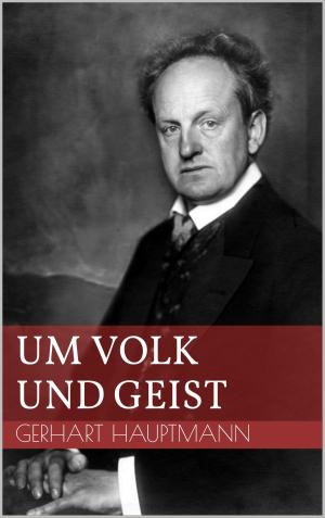 Book cover of Um Volk und Geist