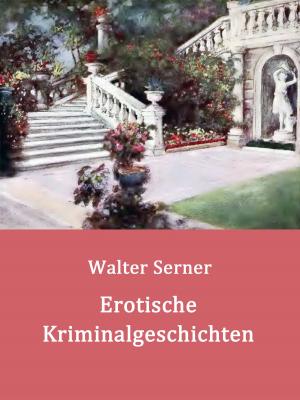 Cover of the book Erotische Kriminalgeschichten by Tobias Sessler