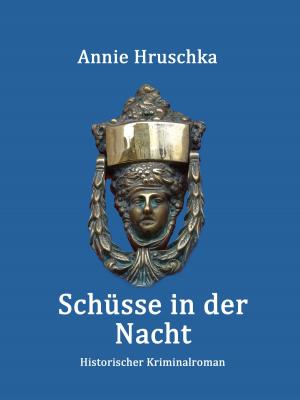 Cover of the book Schüsse in der Nacht by Holger Junghardt