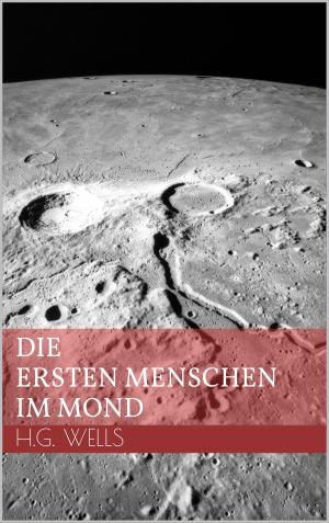 Cover of the book Die ersten Menschen im Mond by Bernd Leitenberger
