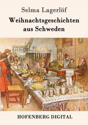 Cover of the book Weihnachtsgeschichten aus Schweden by Oskar Panizza