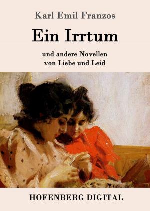 Cover of the book Ein Irrtum by Andreas Gryphius