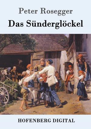Cover of the book Das Sünderglöckel by Karl Emil Franzos