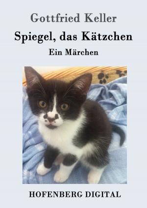 Cover of the book Spiegel, das Kätzchen by Theodor Storm