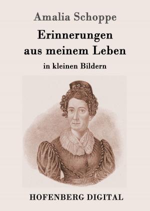 Cover of the book Erinnerungen aus meinem Leben by James Fenimore Cooper