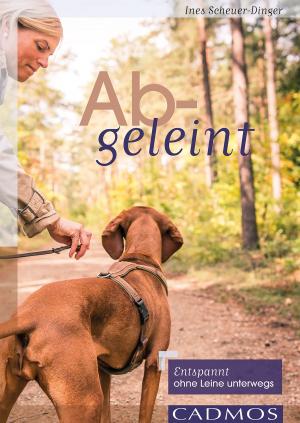 Cover of the book Abgeleint by Katherine Mayfield