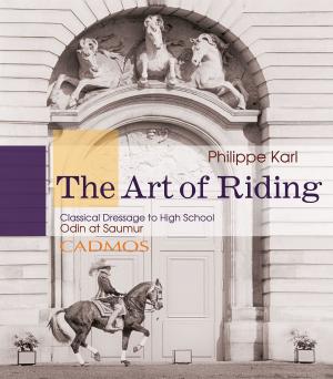 Cover of the book The Art of Riding by Tristan Pulsifer, Jacquelyn Elnor Johnson