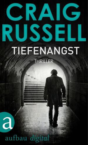 Cover of the book Tiefenangst by Petra Schier