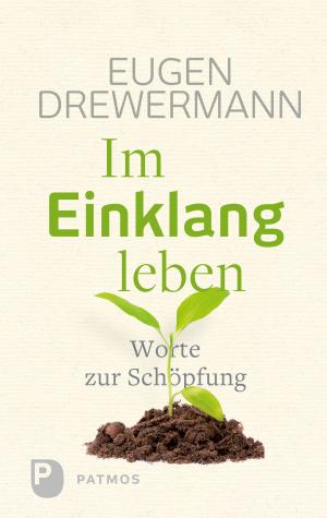 Book cover of Im Einklang leben