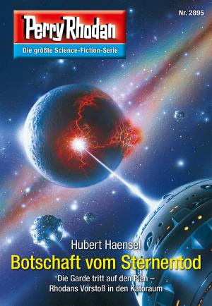 Book cover of Perry Rhodan 2895: Botschaft vom Sternentod