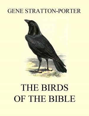 Book cover of The Birds of the Bible