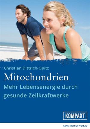 Cover of the book Mitochondrien by Stefanie Krause, Beate Mihály, Maria Mihály, Erika Müller
