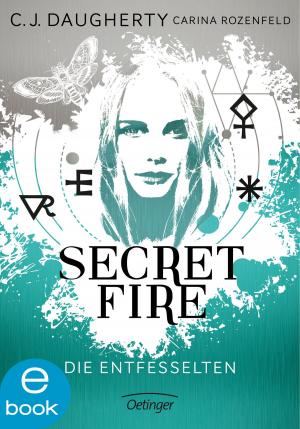 Book cover of Secret Fire. Die Entfesselten