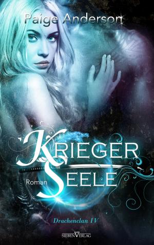 Cover of the book Kriegerseele by Andrea Mertz
