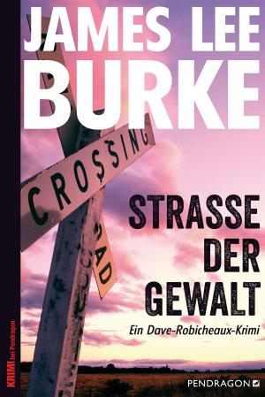 Cover of the book Straße der Gewalt by Alexander Gruber