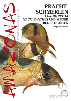 Cover of Prachtschmerlen