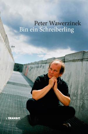 Book cover of Bin ein Schreiberling