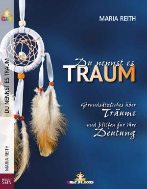 Book cover of Du nennst es Traum