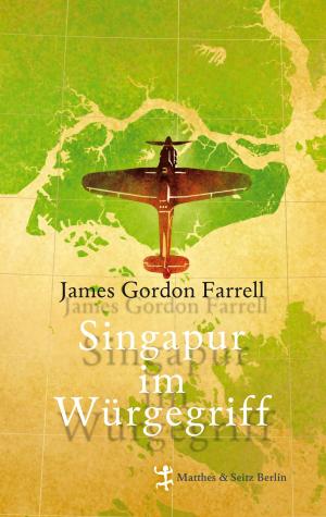Cover of the book Singapur im Würgegriff by Peter Trawny