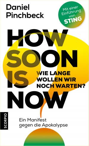 Cover of the book How soon is now by Christine Merzeder
