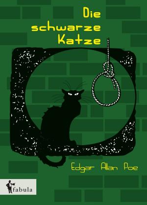 Cover of the book Die schwarze Katze by Jules Verne