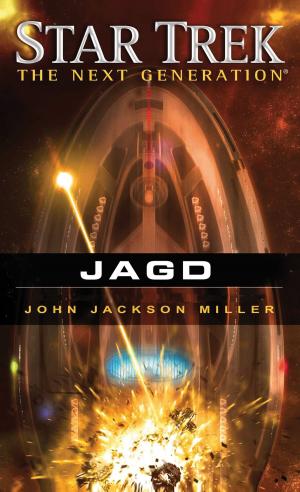 Cover of the book Star Trek - The Next Generation 12: Jagd by Dirk van den Boom