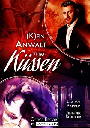 Cover of the book (K)ein Anwalt zum Küssen by Kelly Stevens
