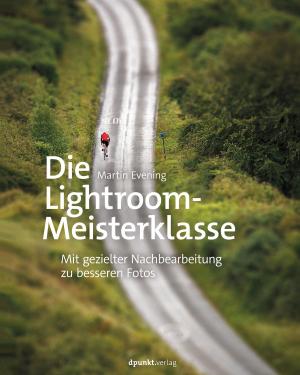 Cover of the book Die Lightroom-Meisterklasse by Michaela Lehr, Richard Brammer