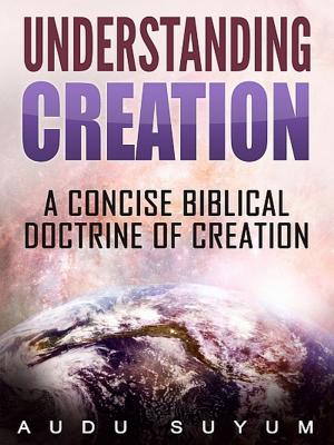 Cover of the book Understanding Creation by Vladimir Burdman Schwarz