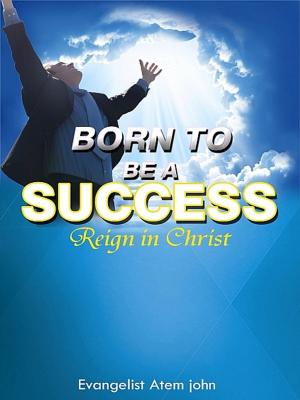 bigCover of the book Born to be a Success by 