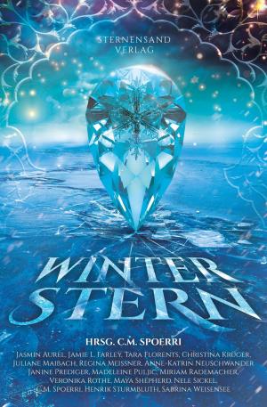 Cover of the book Winterstern by C. M. Spoerri, Jasmin Romana Welsch