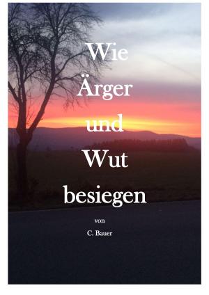 Book cover of Wie Ärger und Wut besiegen