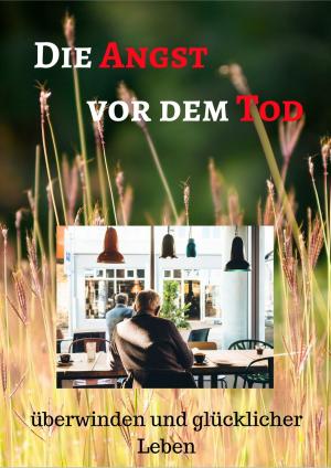 Cover of the book Die Angst vor dem Tod überwinden und glücklicher Leben by Helmut Gredofski