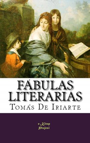 Cover of the book Fábulas Literarias by James Mckimmey