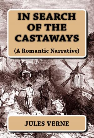 Book cover of In Search of the Castaways