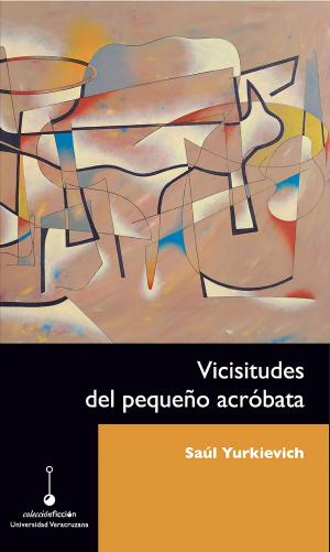 Cover of the book Vicisitudes del pequeño acróbata by V