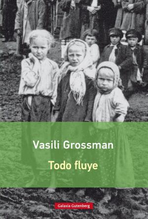 Cover of the book Todo fluye by Bohumil Hrabal