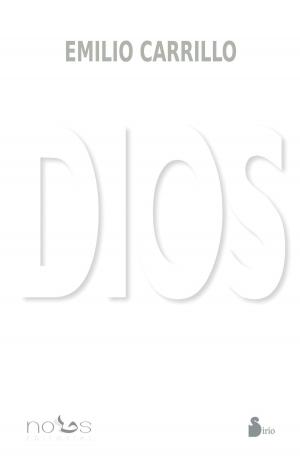 Cover of the book Dios by Mahendra Terar, Joana Martin